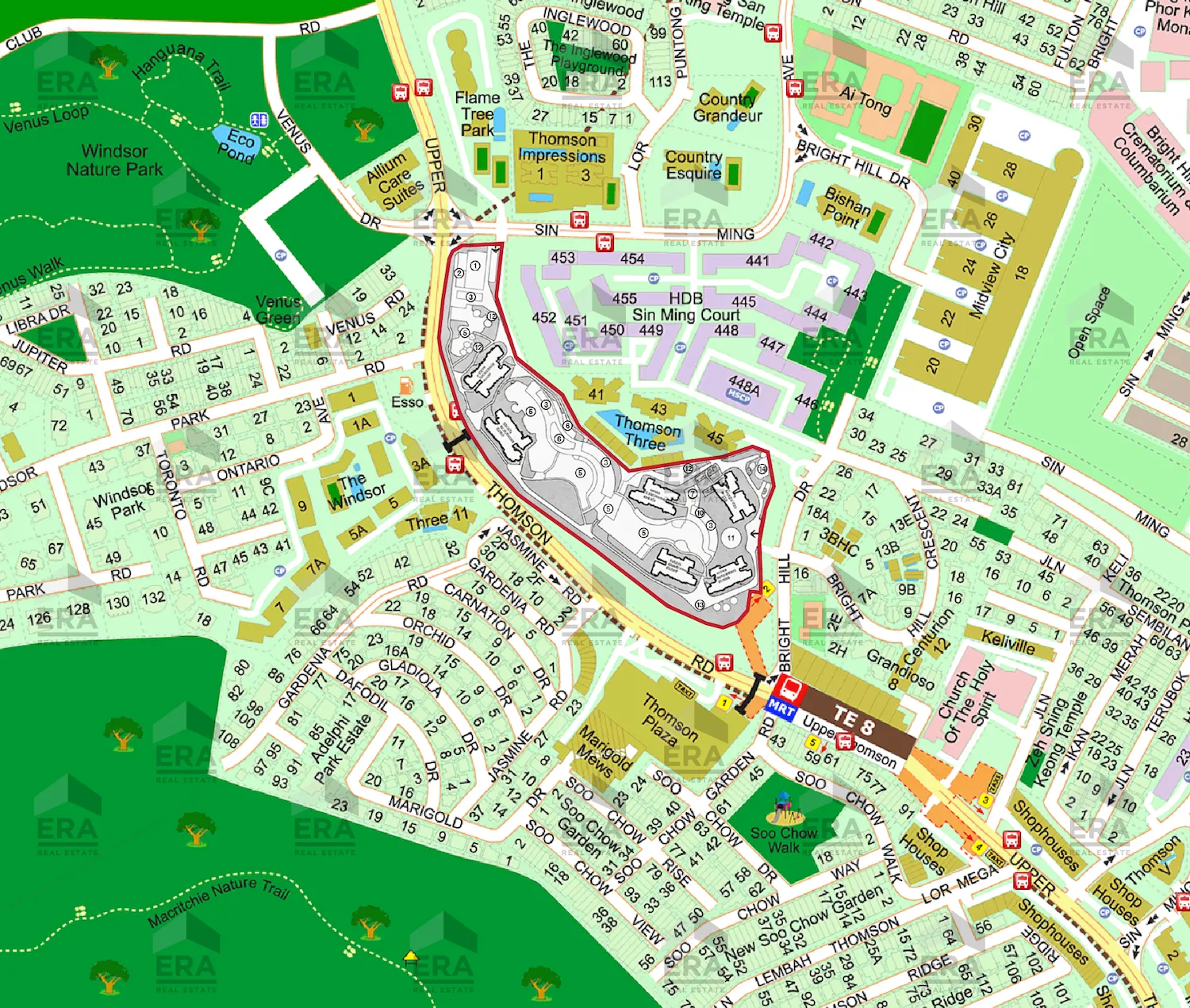 Thomson Reserve site superimposed on Upper Thomson and Bright Hill surroundings, showing road frontage, nearby greenery, schools and surrounding residential context